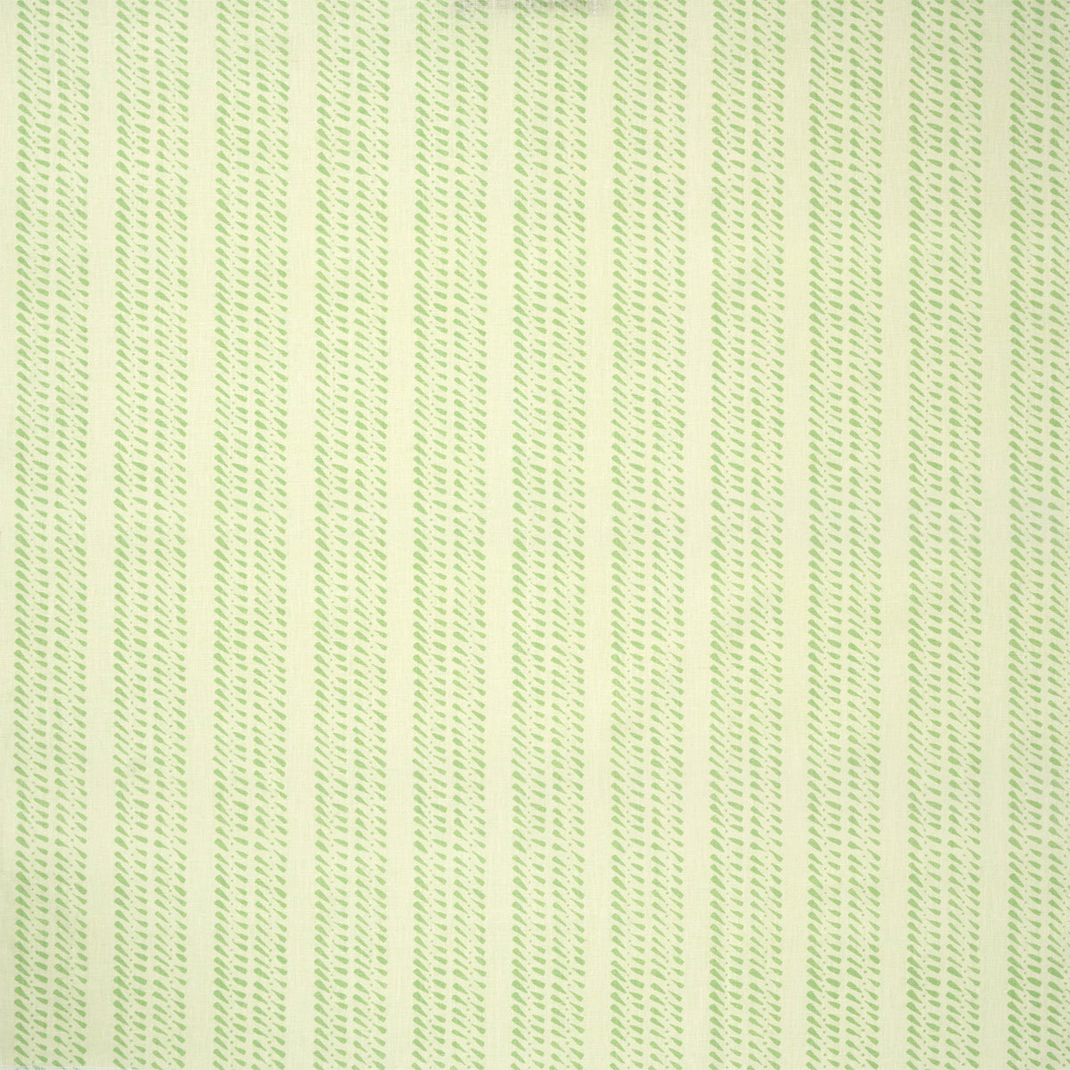 Carneal Fabric by Ferrick Mason in Light Green