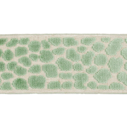 TRH21021 Trim