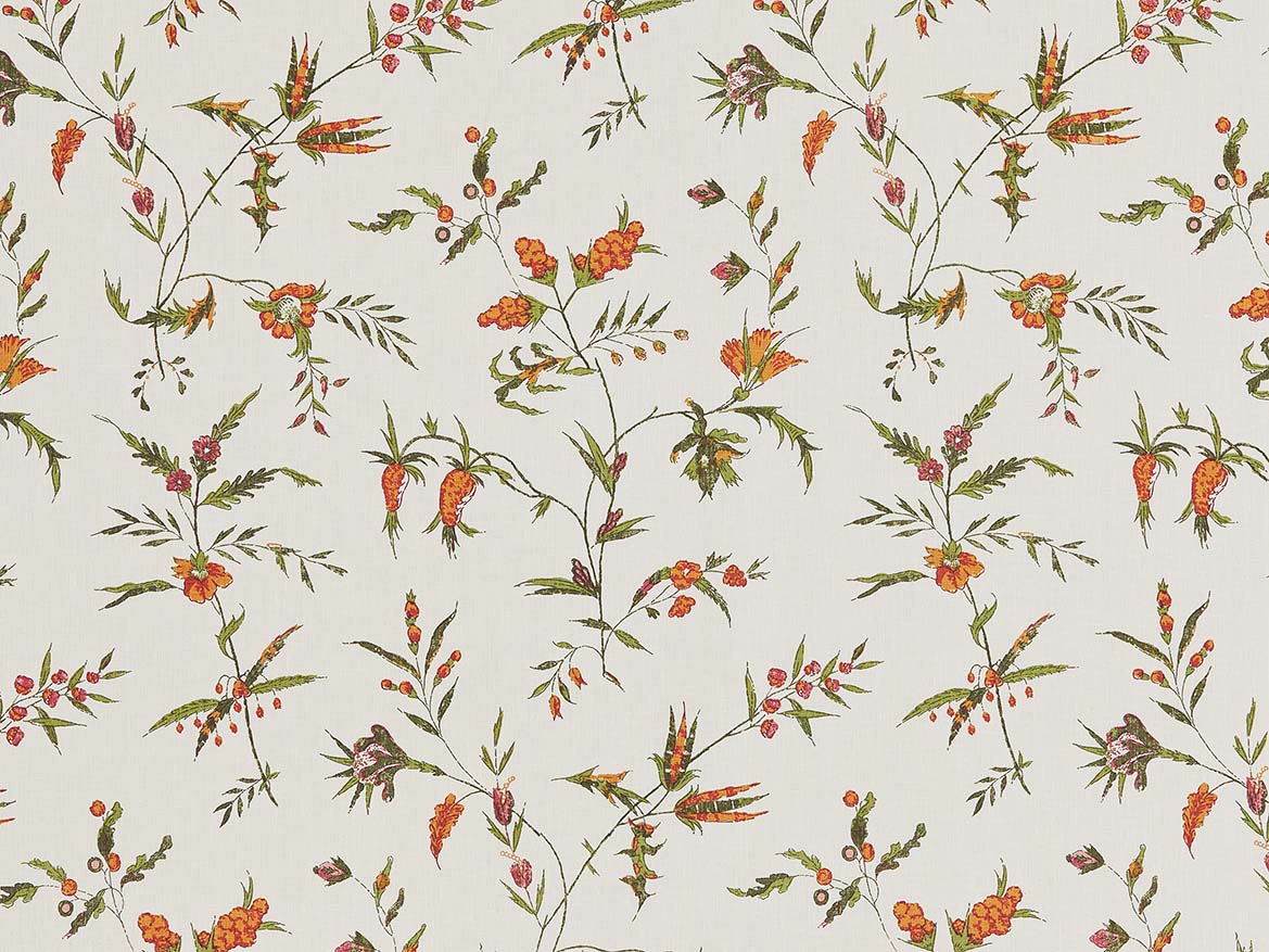 Delfine Jaipur