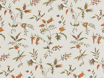 Delfine Jaipur
