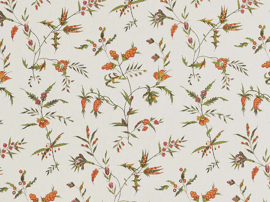 Delfine Jaipur