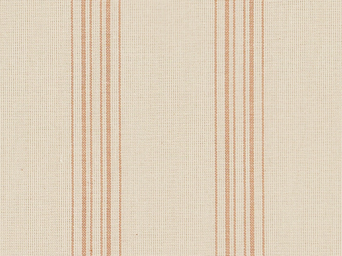 Escaut-Stripe Peony