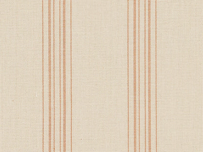 Escaut-Stripe Peony