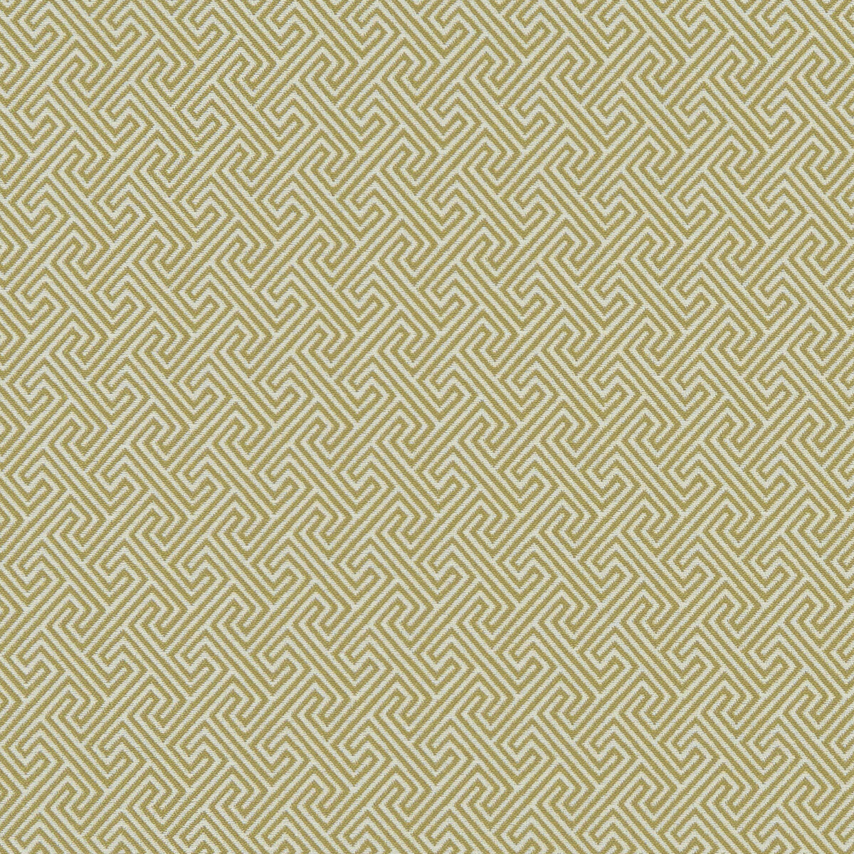 Mercury Citron fabric by Clarke & Clarke
