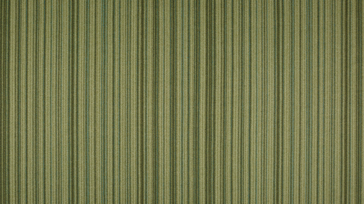 Rondo Forest spring