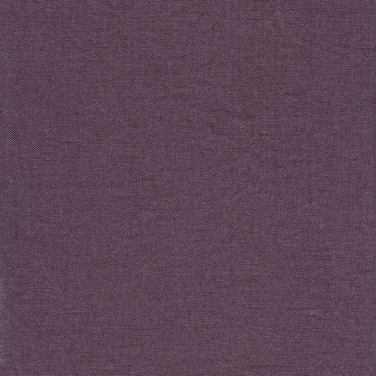 Scirocco Plum