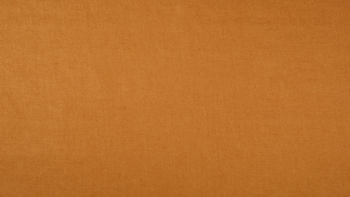 Scirocco Tabby