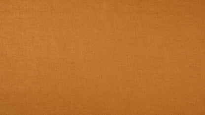 Scirocco Tabby