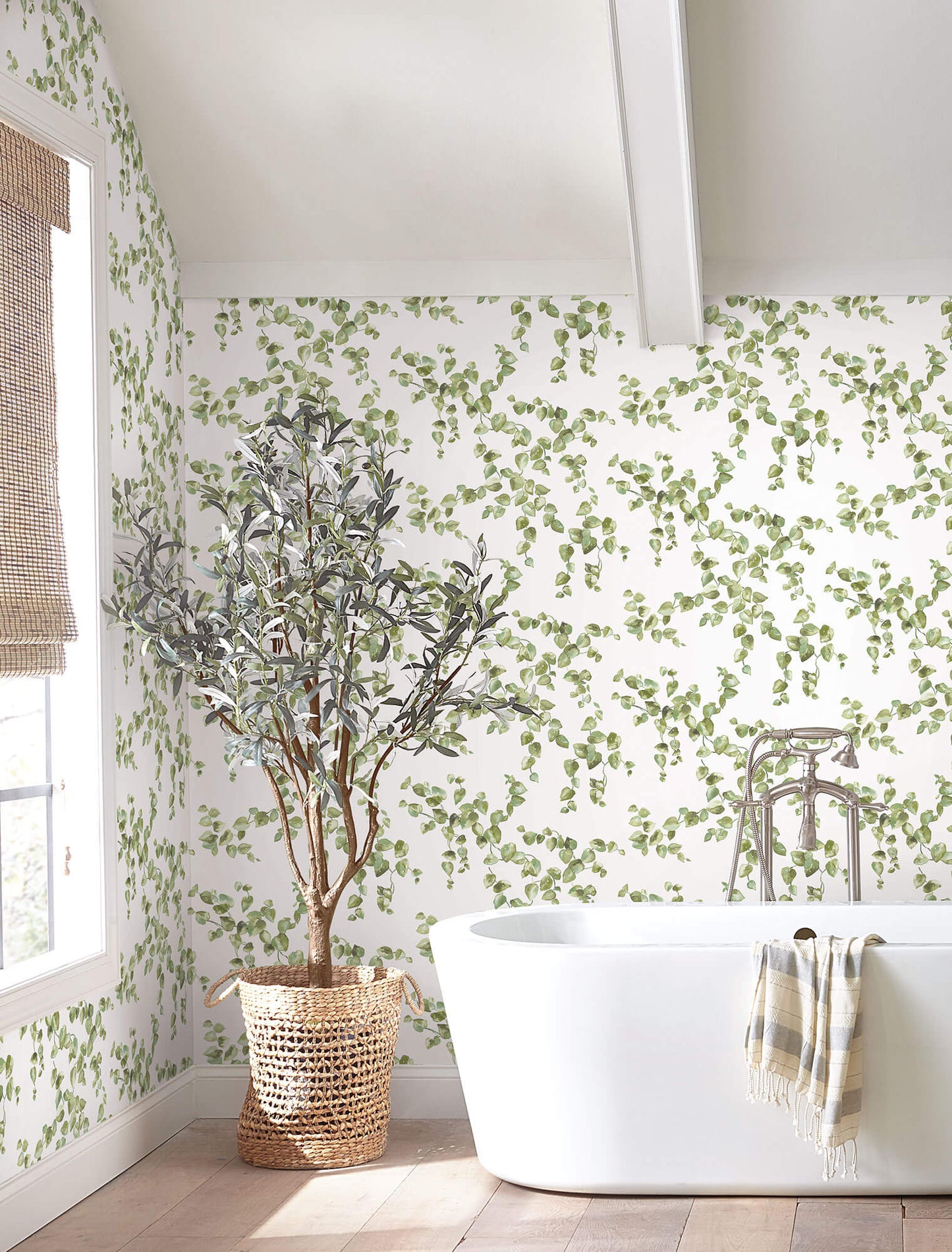 Creeping Fig Vine Wallpaper