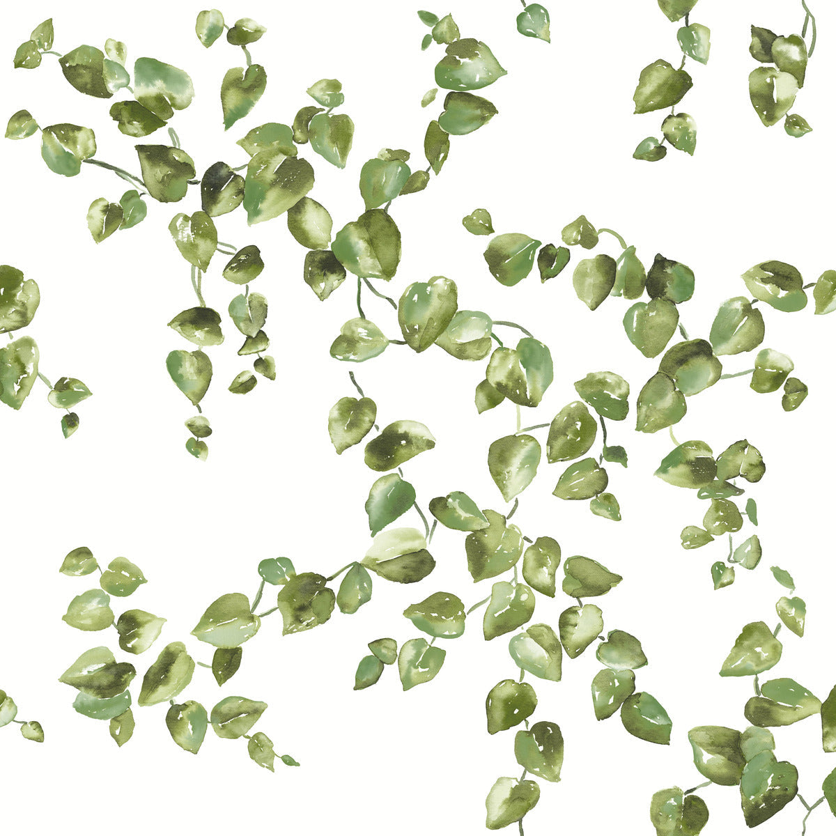 Creeping Fig Vine Wallpaper