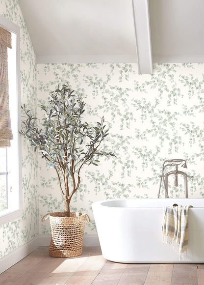 Creeping Fig Vine Wallpaper
