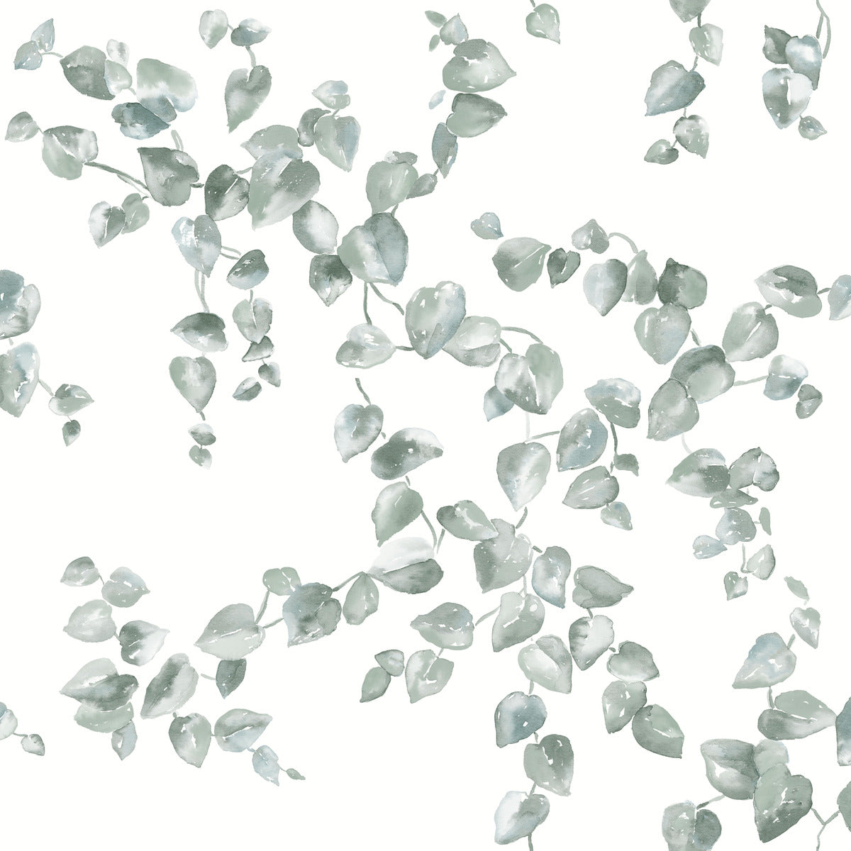 Creeping Fig Vine Wallpaper