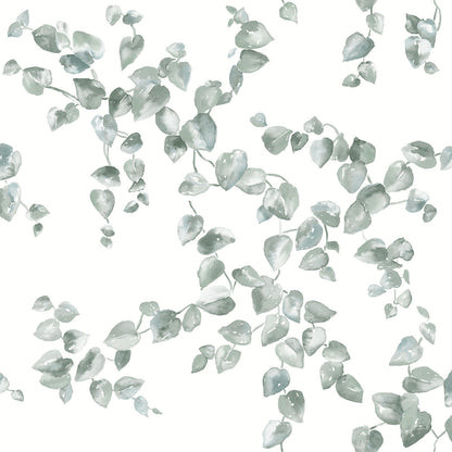 Creeping Fig Vine Wallpaper