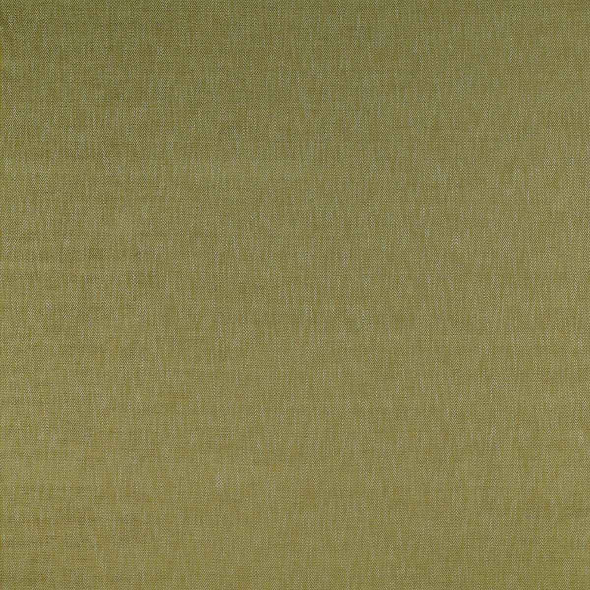 Alcala Fabric by Gaston y Daniela in Verde