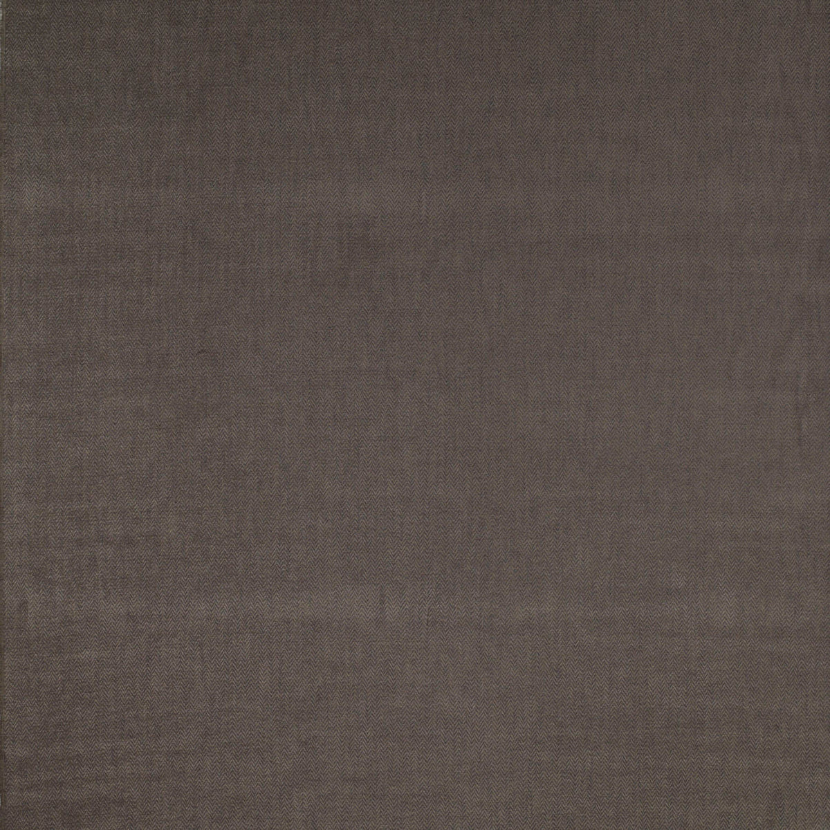 Alcala Fabric by Gaston y Daniela in Vison