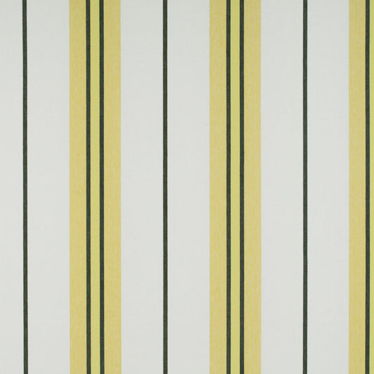 Burano Fabric by Gaston y Daniela in Onyx/Amarillo