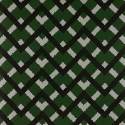 Monti Fabric by Gaston y Daniela in Verde