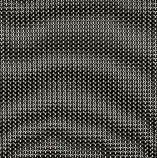 Viareggio Fabric by Gaston y Daniela in Blanco/Onyx