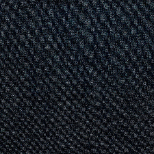 Uganda Fabric by Gaston y Daniela in Black/Blanco