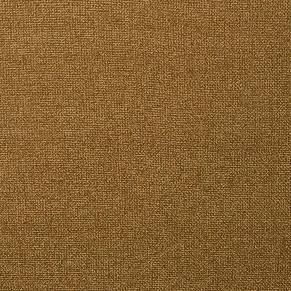 Shaba Fabric by Gaston y Daniela in Oro