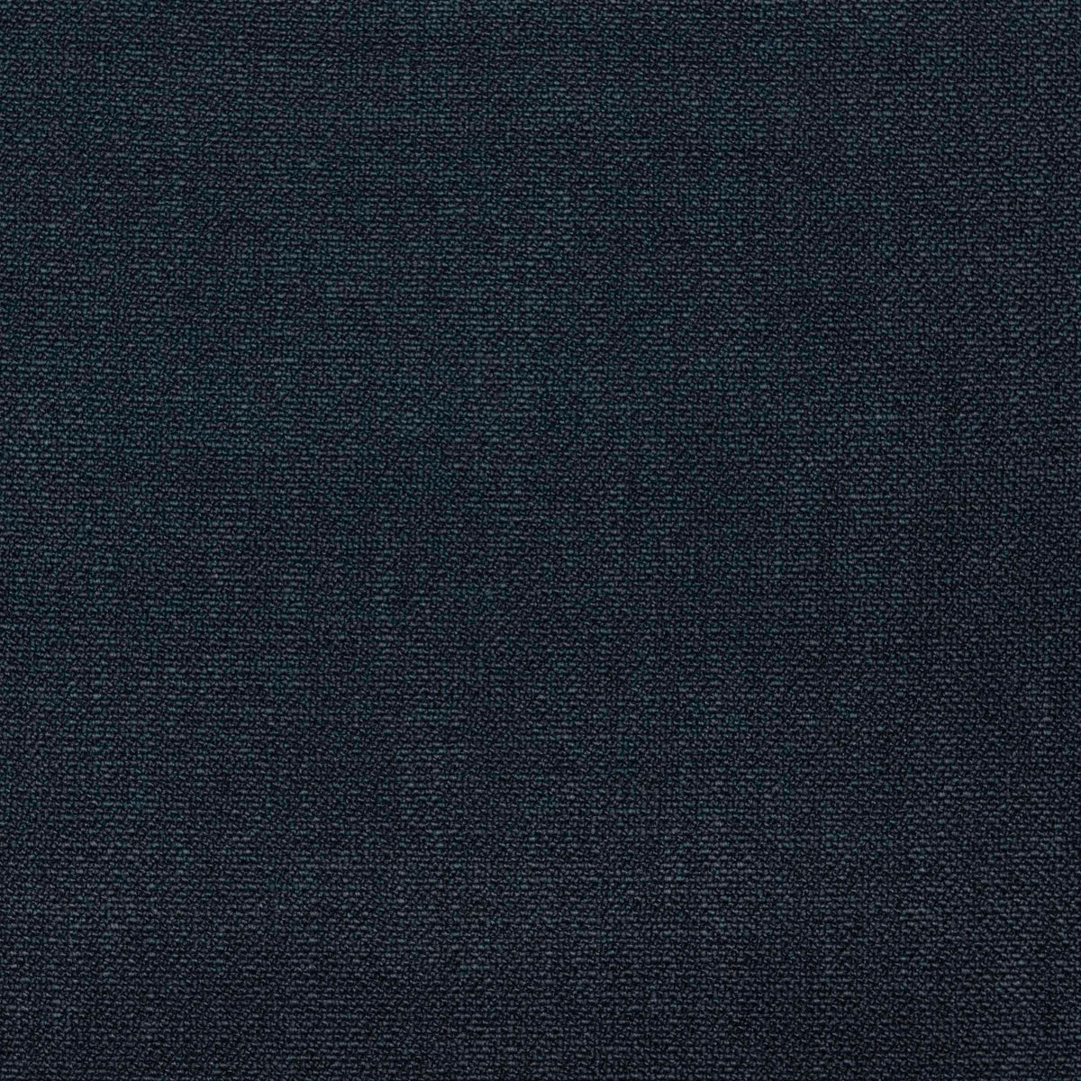 Shaba Fabric by Gaston y Daniela in Navy