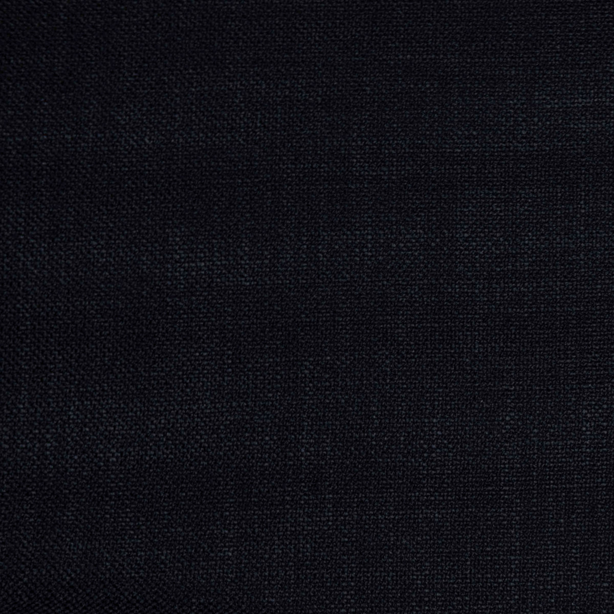 Shaba Fabric by Gaston y Daniela in Black
