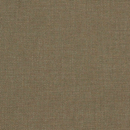 Shaba Fabric by Gaston y Daniela in Verde