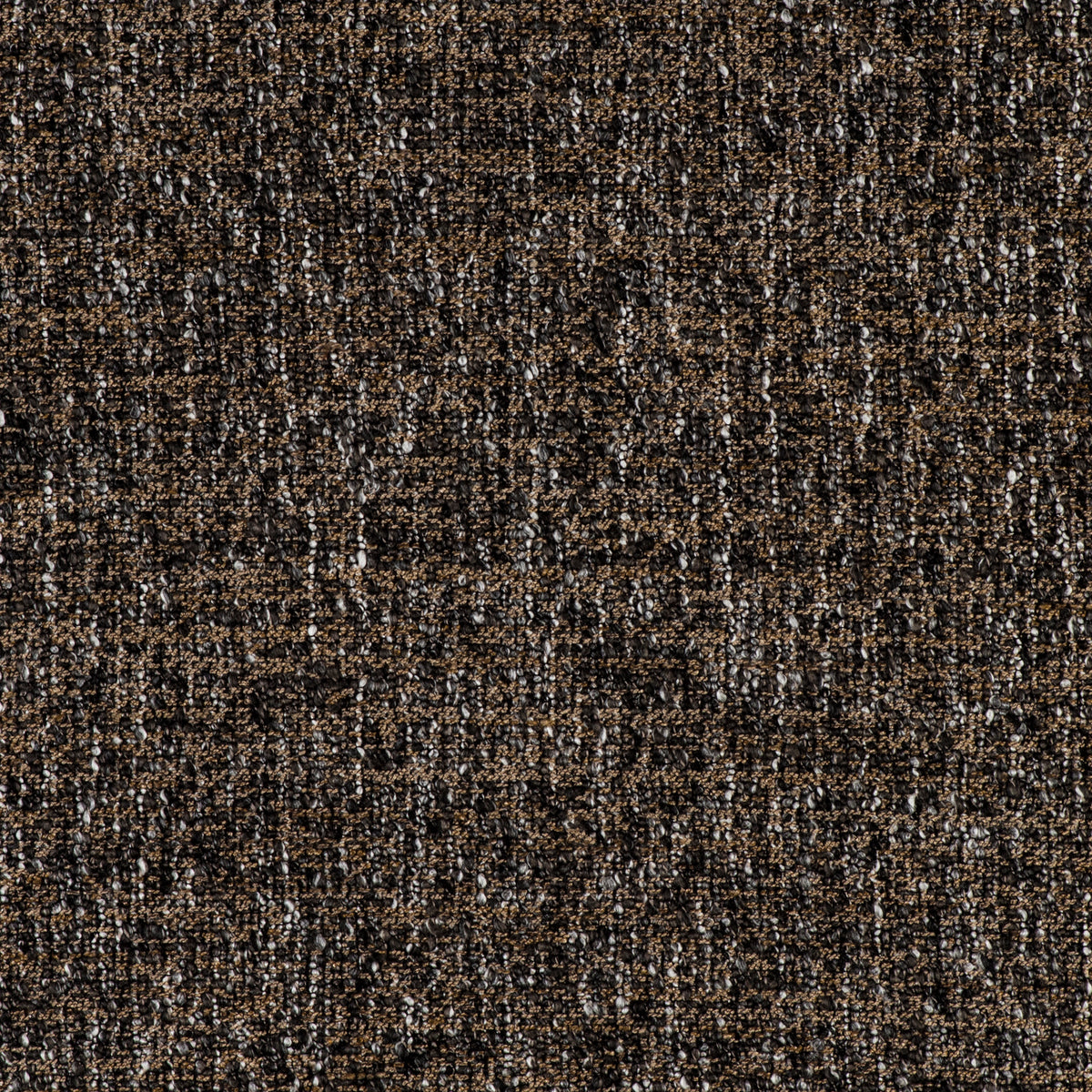 Telar Fabric by Gaston y Daniela in Antracita/Tostado