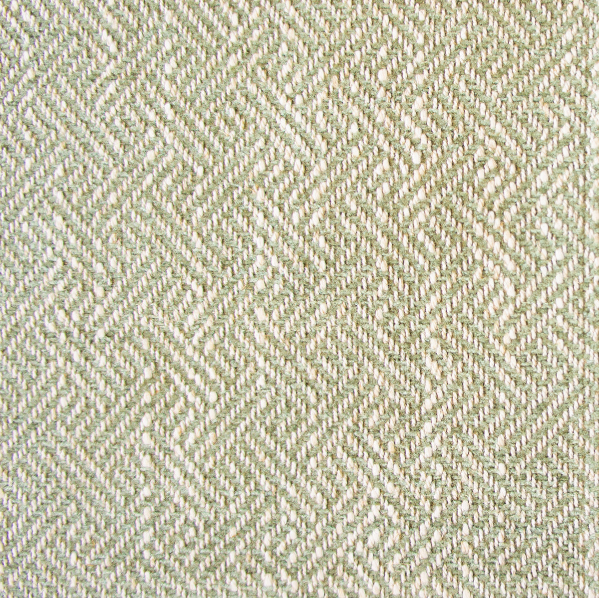 Enea Fabric by Gaston y Daniela in Verde Claro