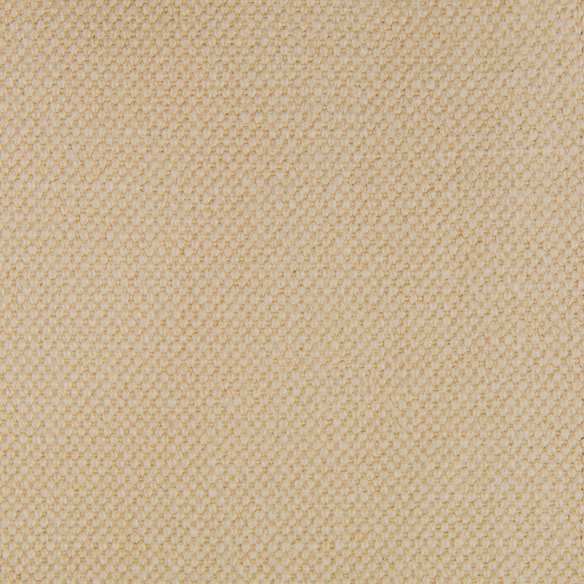 Lima Fabric by Gaston y Daniela in Beige