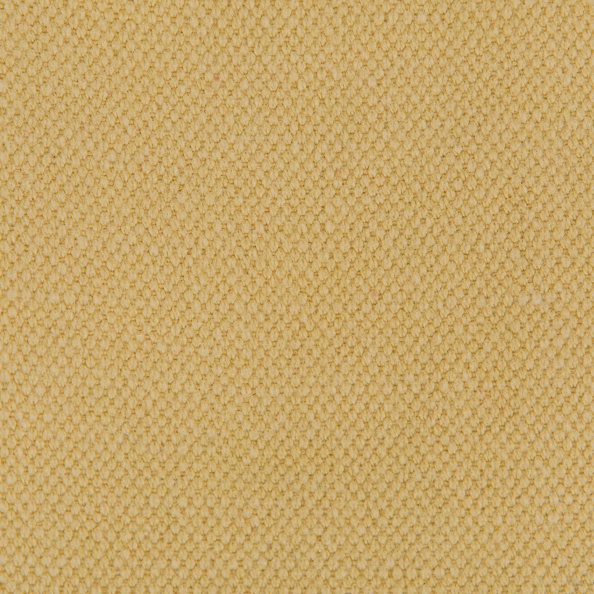 Lima Fabric by Gaston y Daniela in Oro
