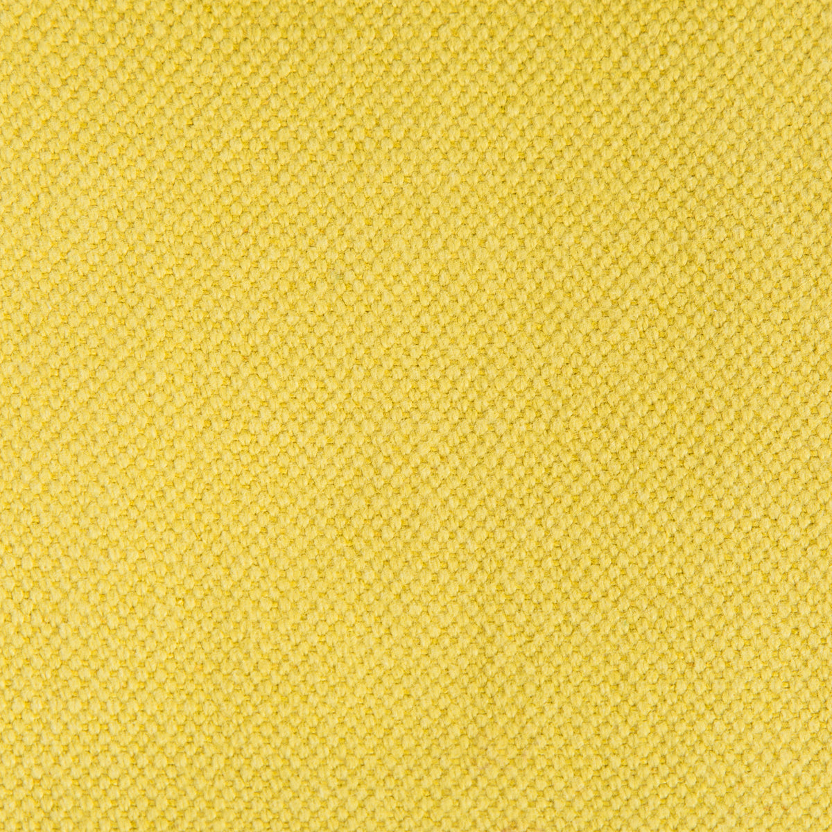 Lima Fabric by Gaston y Daniela in Verde Lima