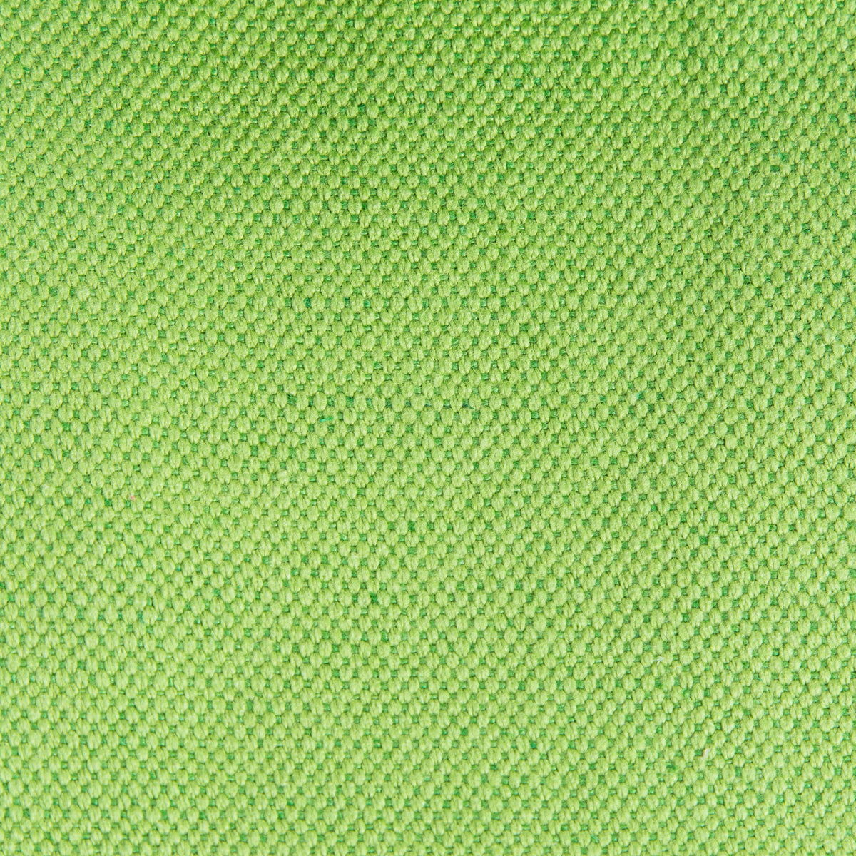 Lima Fabric by Gaston y Daniela in Verde Claro