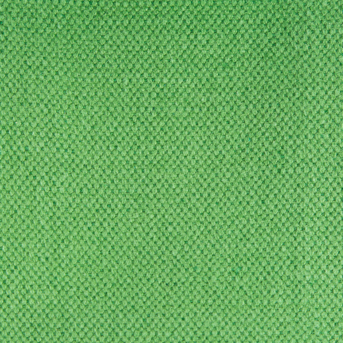 Lima Fabric by Gaston y Daniela in Verde