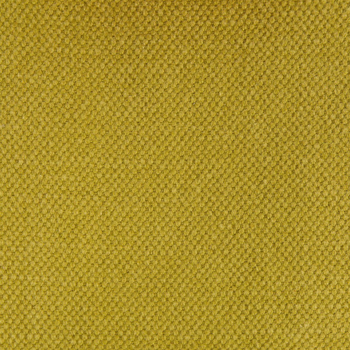 Lima Fabric by Gaston y Daniela in Aceite