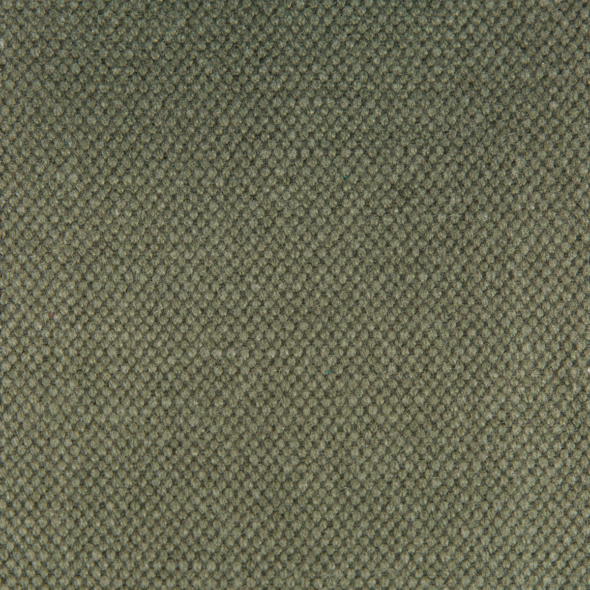 Lima Fabric by Gaston y Daniela in Kaki