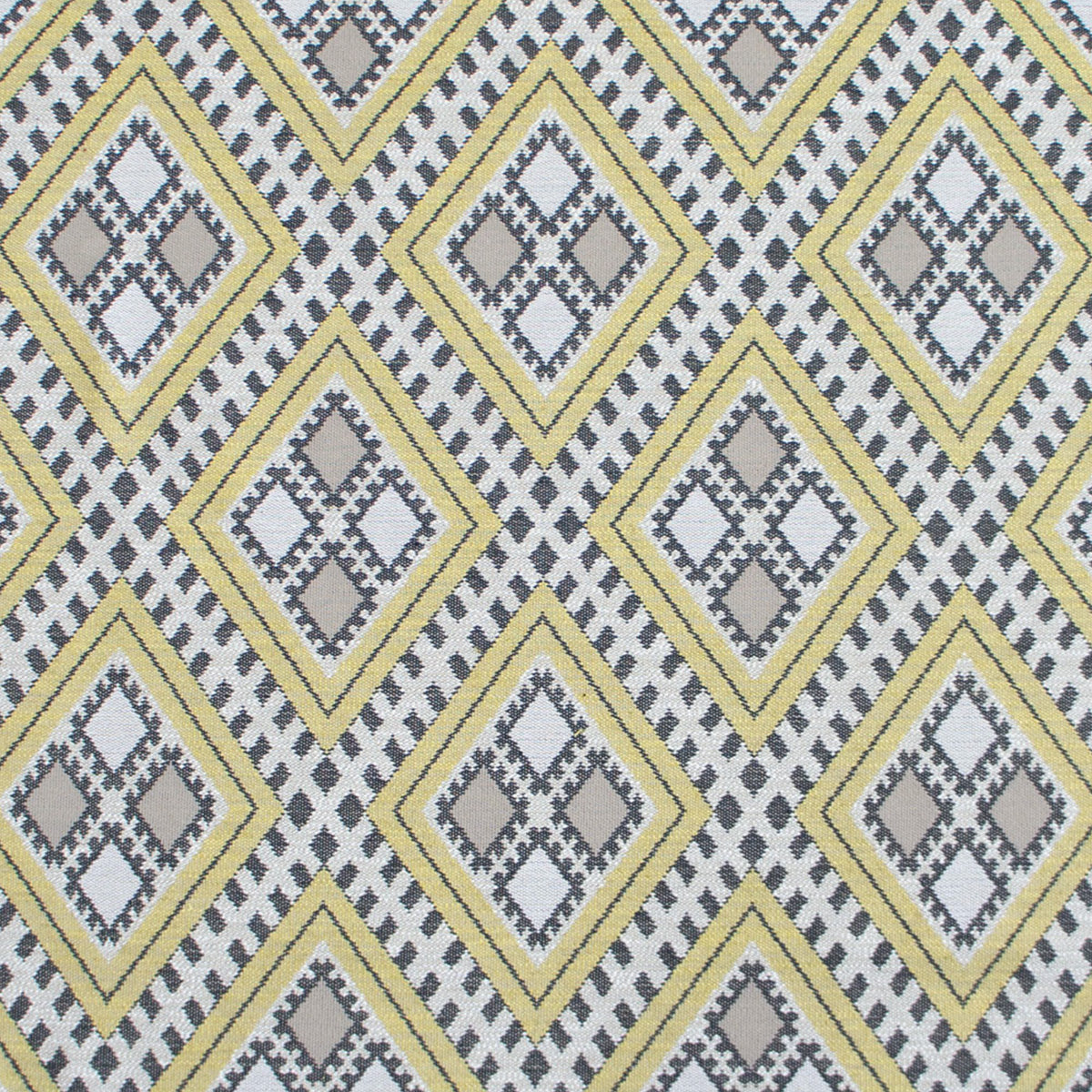 Chihuahua Fabric by Gaston y Daniela in Amarillo