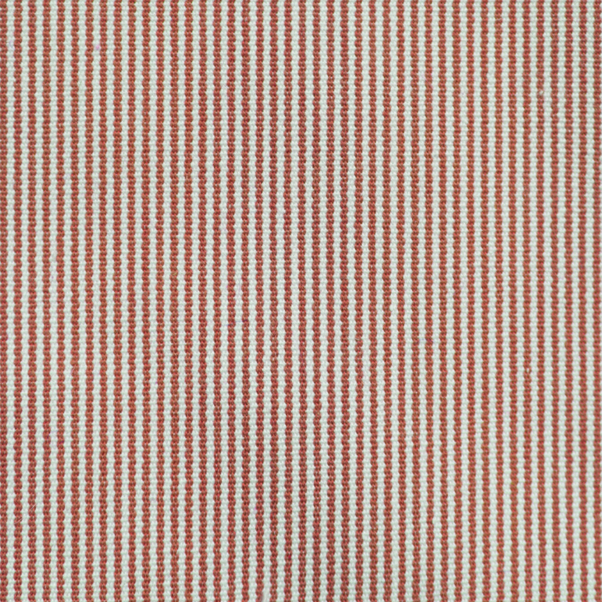 Talaiot Fabric by Gaston y Daniela in Teja/Blanco