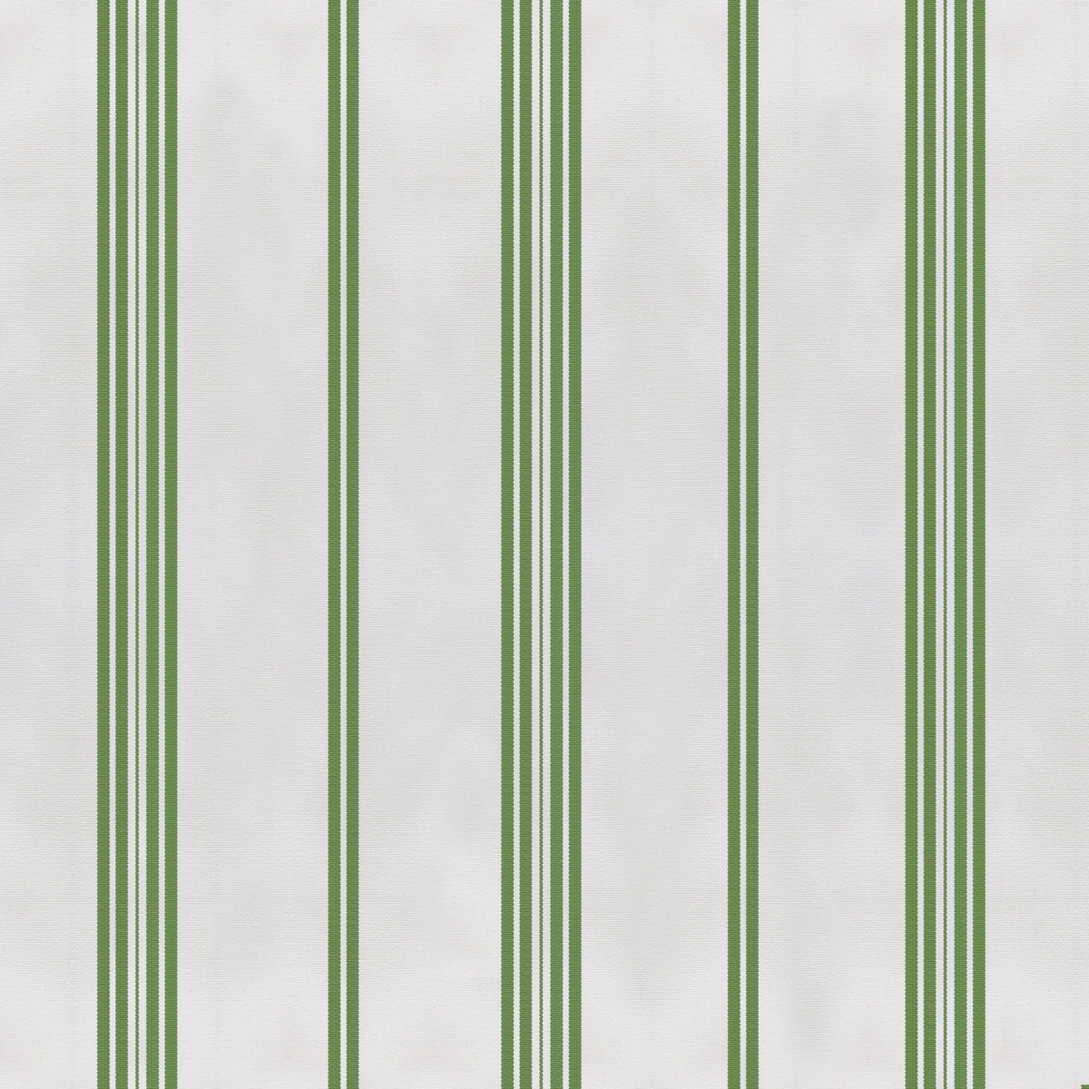 Tramontana Fabric by Gaston y Daniela in Verde Claro