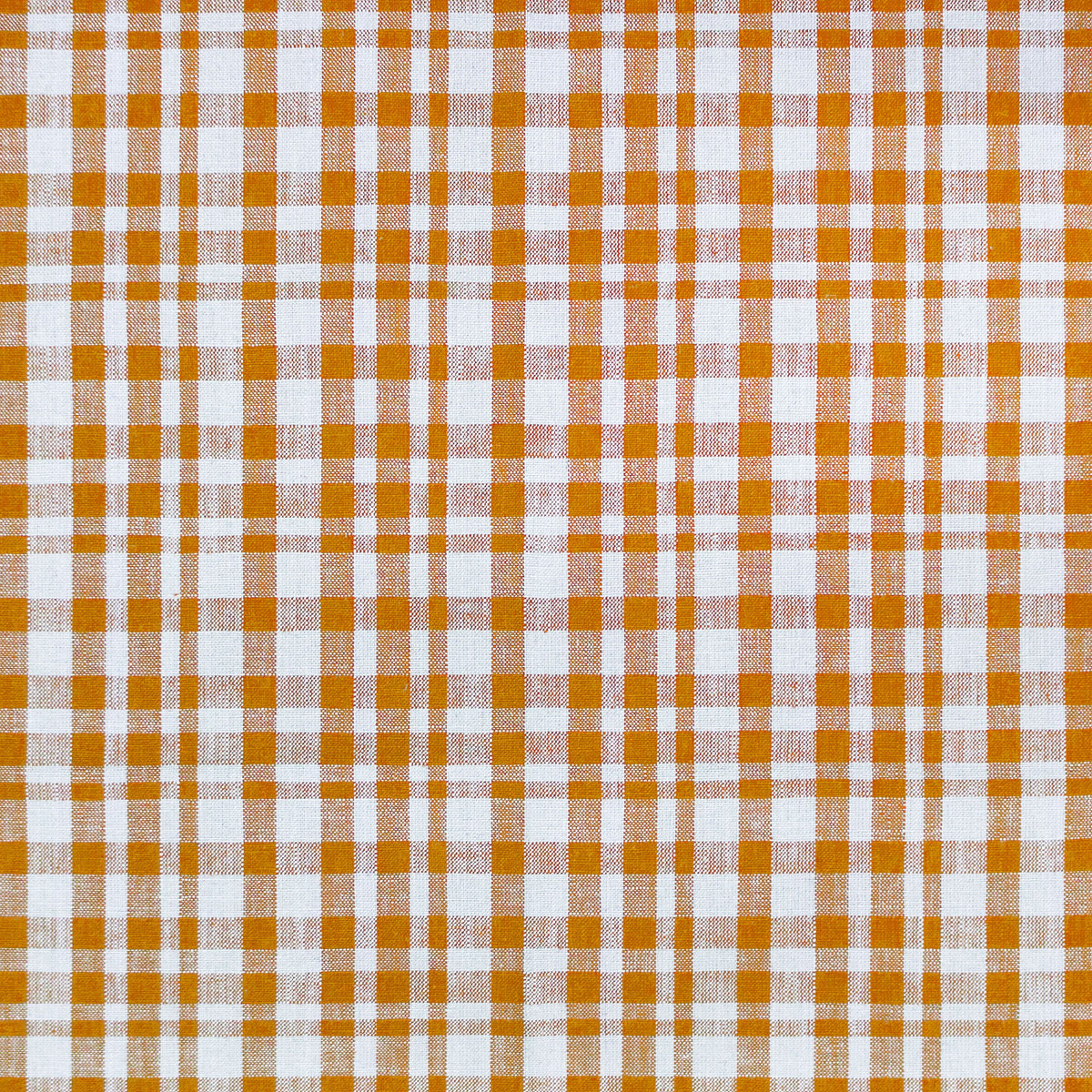 Drach Fabric by Gaston y Daniela in Blanco/Ocre
