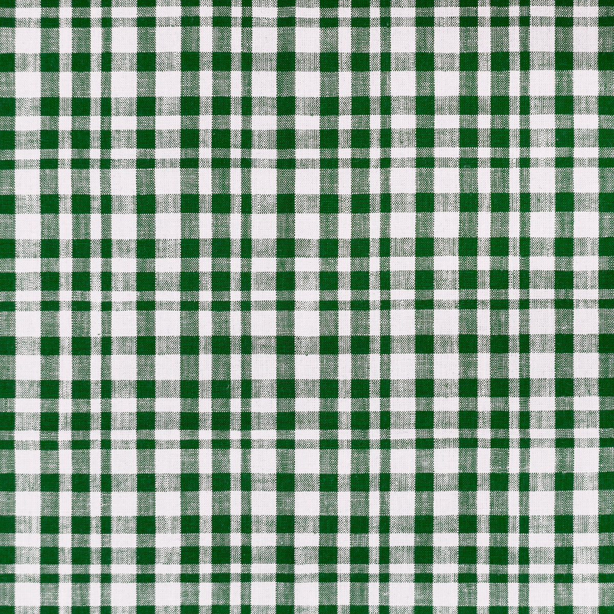 Drach Fabric by Gaston y Daniela in Blanco/Verde Oscuro