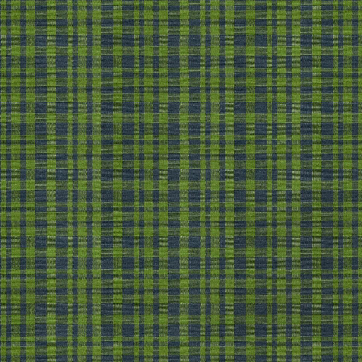 Drach Fabric by Gaston y Daniela in Verde/Azul