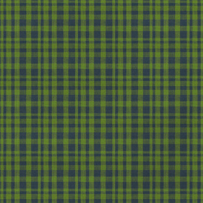 Drach Fabric by Gaston y Daniela in Verde/Azul