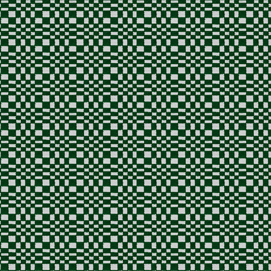 Santa Eulalia Fabric by Gaston y Daniela in Verde Oscuro