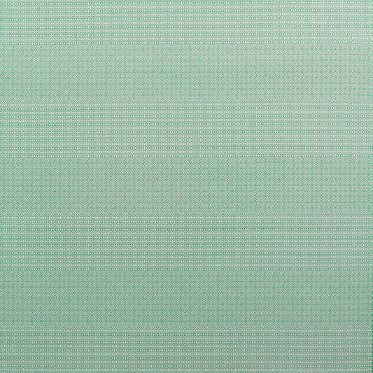 Kailas Fabric by Gaston y Daniela in Verde