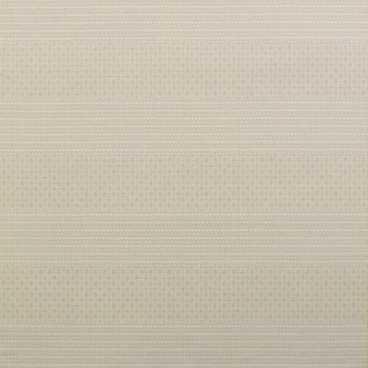 Kailas Fabric by Gaston y Daniela in Beige
