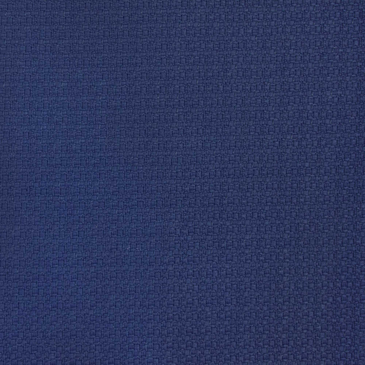 Lhasa Fabric by Gaston y Daniela in Navy