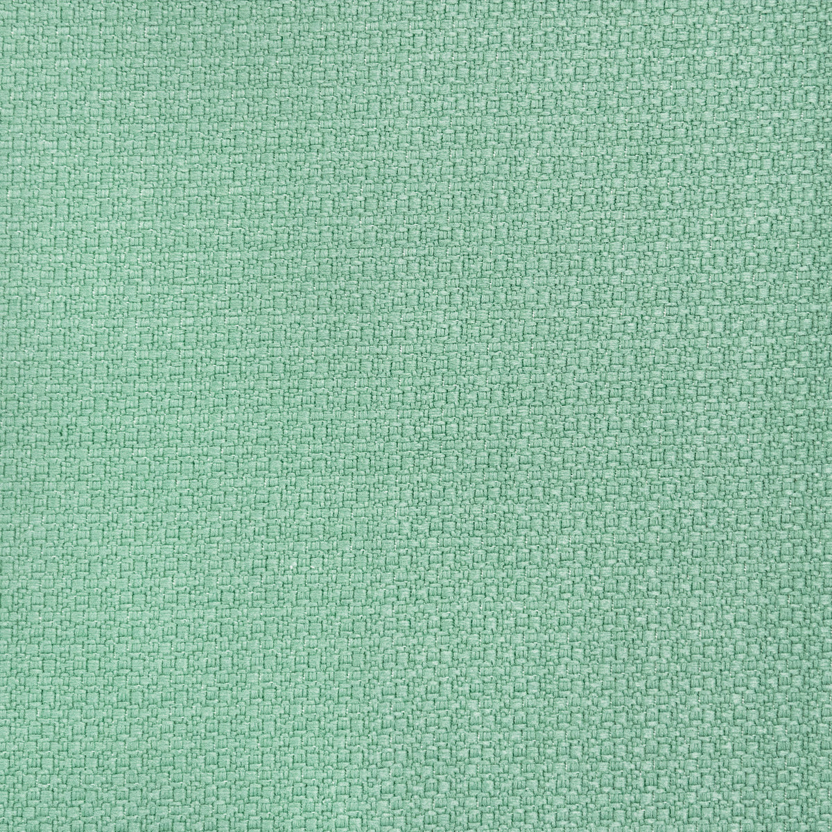 Lhasa Fabric by Gaston y Daniela in Verde Liquen