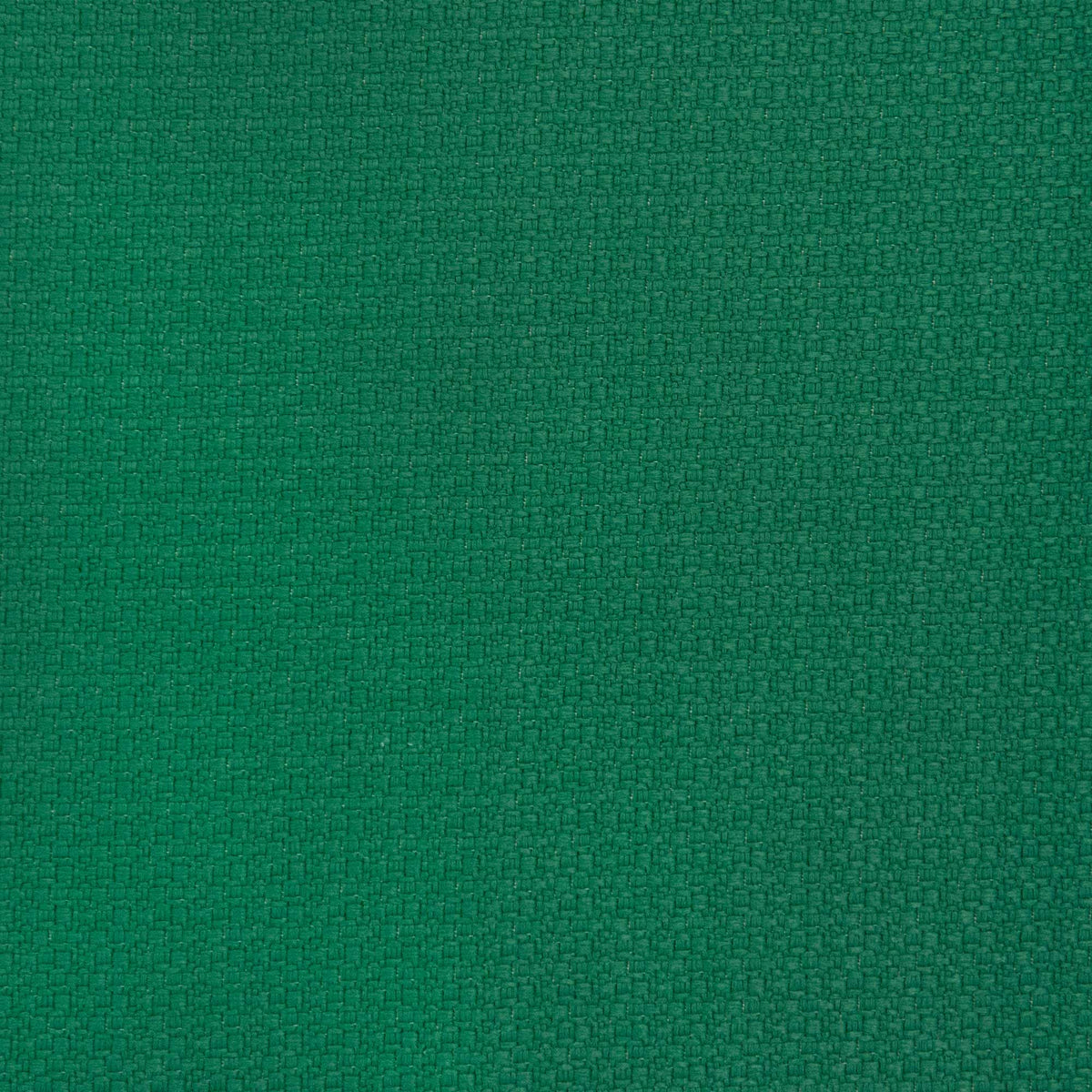 Lhasa Fabric by Gaston y Daniela in Verde