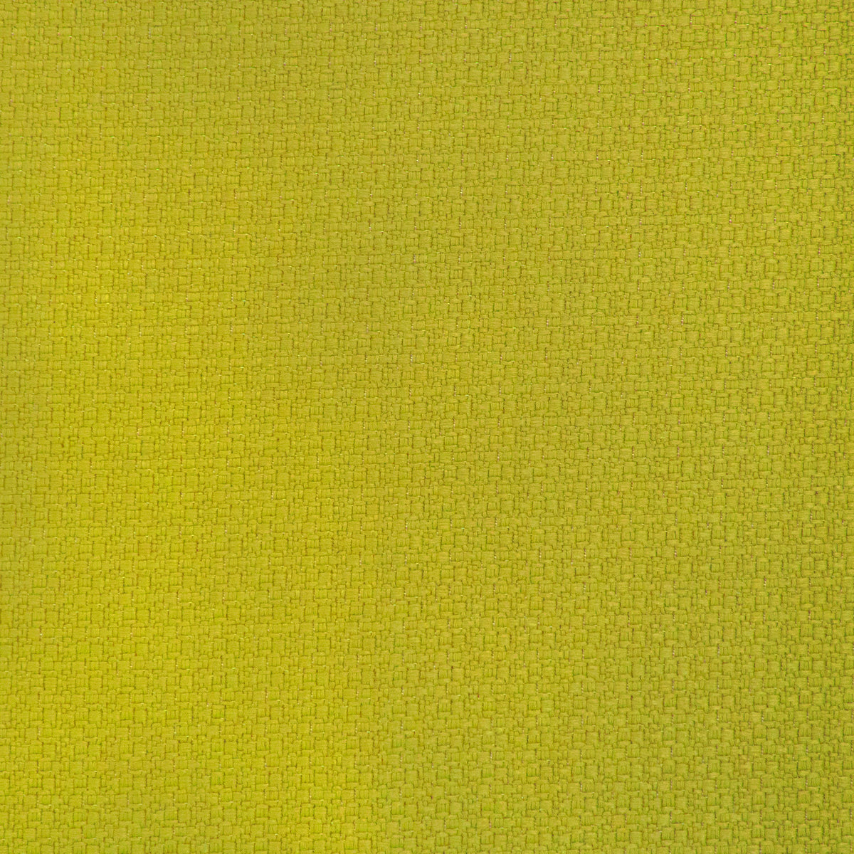 Lhasa Fabric by Gaston y Daniela in Lima